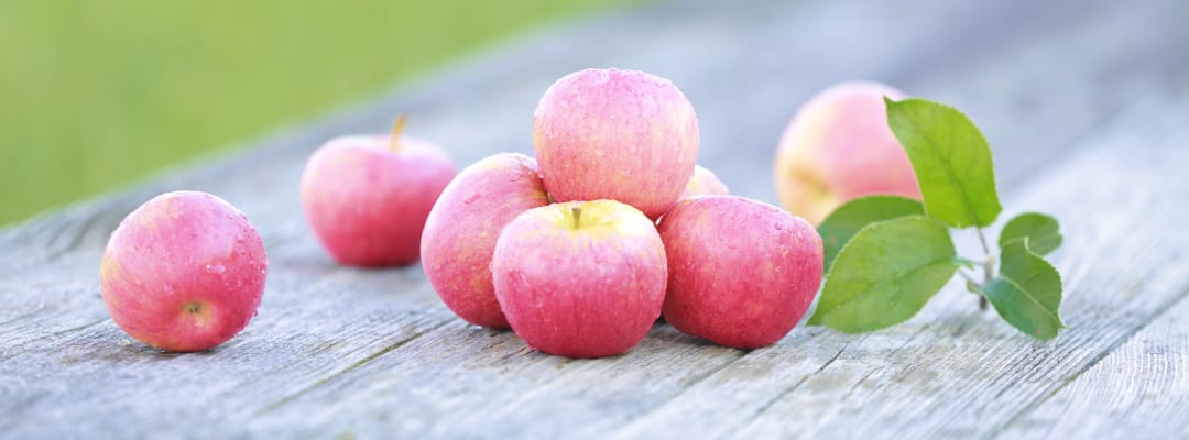 fruit-type-01-ZB20221229
