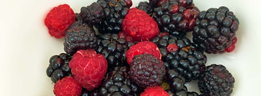 fruit-type-03-ZB20221230